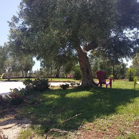 Farm stay 